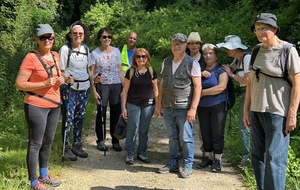 11/06/25 - Mini rando à Migné-Auxances animée par Joël - Photo Joël