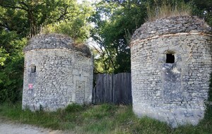 10/07/2025 - Normale à Sossay animée par Christian - Photo Joëlle.