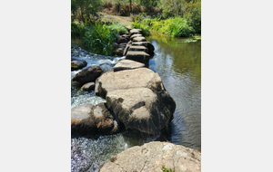 05/09/2025 - Journée à Saint Loup sur Thouet (79)  animée par Christian G.- Photo Monique H.