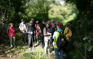27/09/2025 - Normale à Celle-Lévescault animée par Geneviève R. - Photo Joëlle C.