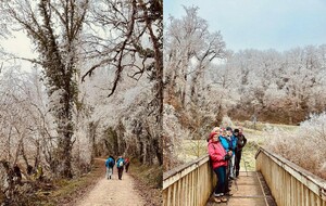 05/01/2026 - Rando nordique aux Grottes de la Norée animée par Danièle dans un cadre féérique.