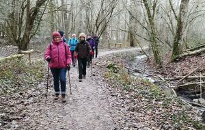 05/01/2026 - Rando nordique aux Grottes de la Norée animée par Danièle