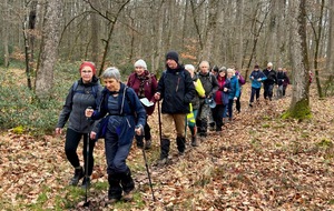 21/02/2026 - Rando normale animée par Christian en forêt de Moulière, loin des inondations - Photo Joël.