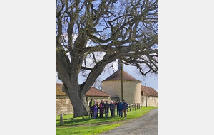 25/03/2026 - Normale à Coussay animée par Christian G. - Photo Emeline B. - Pause devant le château de la Tour du Ry..