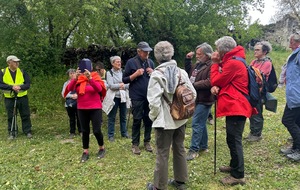 15/04/2026 - Mini rando à Marigny Brizay animée par Joël, aidé par Hervé qui a apporté ses connaissances sur la région - Photo Joël. La visite se poursuit. Les randonneurs attentifs autour du guide.