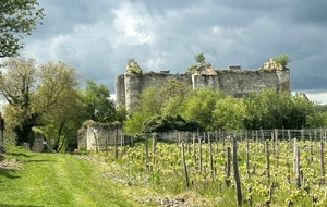 15/04/2026 - Mini rando à Marigny Brizay animée par Joël, aidé par Hervé qui a apporté ses connaissances sur la région - Photo Joël - Château de Montfaucon (XIVe siècle)