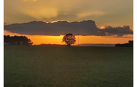 26/11/2025 - Normale à Senillé- Saint-Sauveur animée par Jean-Jacques B. - Soleil couchant vu par Christian.