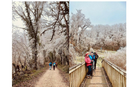 05/01/2026 - Rando nordique aux Grottes de la Norée animée par Danièle dans un cadre féérique.