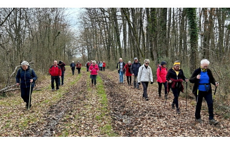 14/01/2026 - Mini rando animée par Raymond G. à Mignaloux -Beauvoir - Photo Joël F.