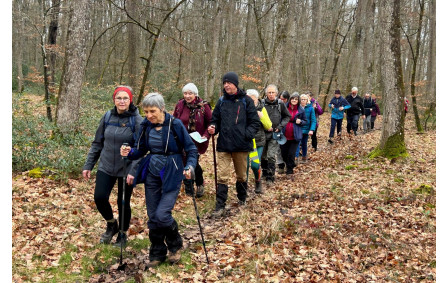 21/02/2026 - Rando normale animée par Christian en forêt de Moulière, loin des inondations - Photo Joël.