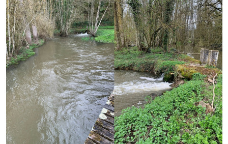 14/03/2026 - Normale à Chiré en Montreuil animée par Annie G. - Photo Josette V.