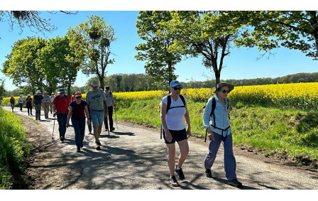 08/04/2026 - Rando normale animée par Annie G. à Vouneuil-sous-Biard - Photo Joël F. -  Notre progression entre les champs de colza.