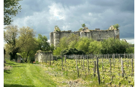 15/04/2026 - Mini rando à Marigny Brizay animée par Joël, aidé par Hervé qui a apporté ses connaissances sur la région - Photo Joël - Château de Montfaucon (XIVe siècle)